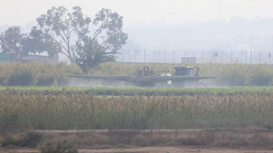 Alarma ecologista en Los Carrizales de Elche por la venta de 230 hectáreas a una empresa agrícola e inmobiliaria
