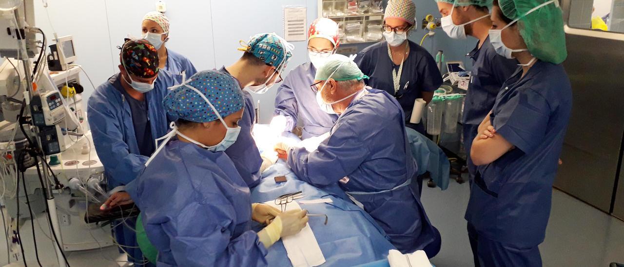 Sanitarios del hospital de Alzira realizan una intervención quirúrgica, en una imagen de archivo.