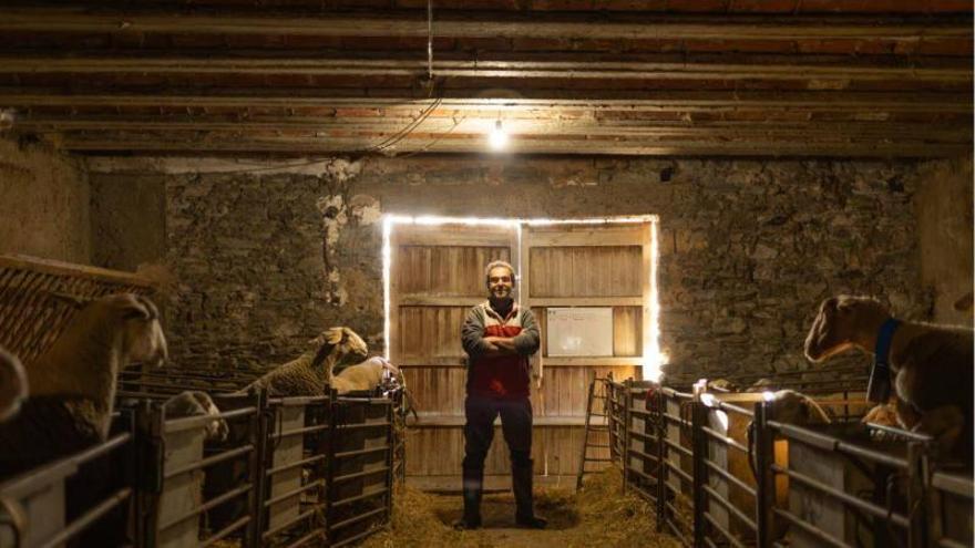 Més tossuts que una banya de marrà