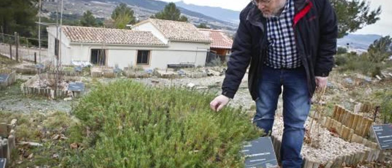 El director de la Estación Biológica Torretes-Font Roja de la UA, Segundo Ríos, en el jardín botánico de la instalación en Ibi.