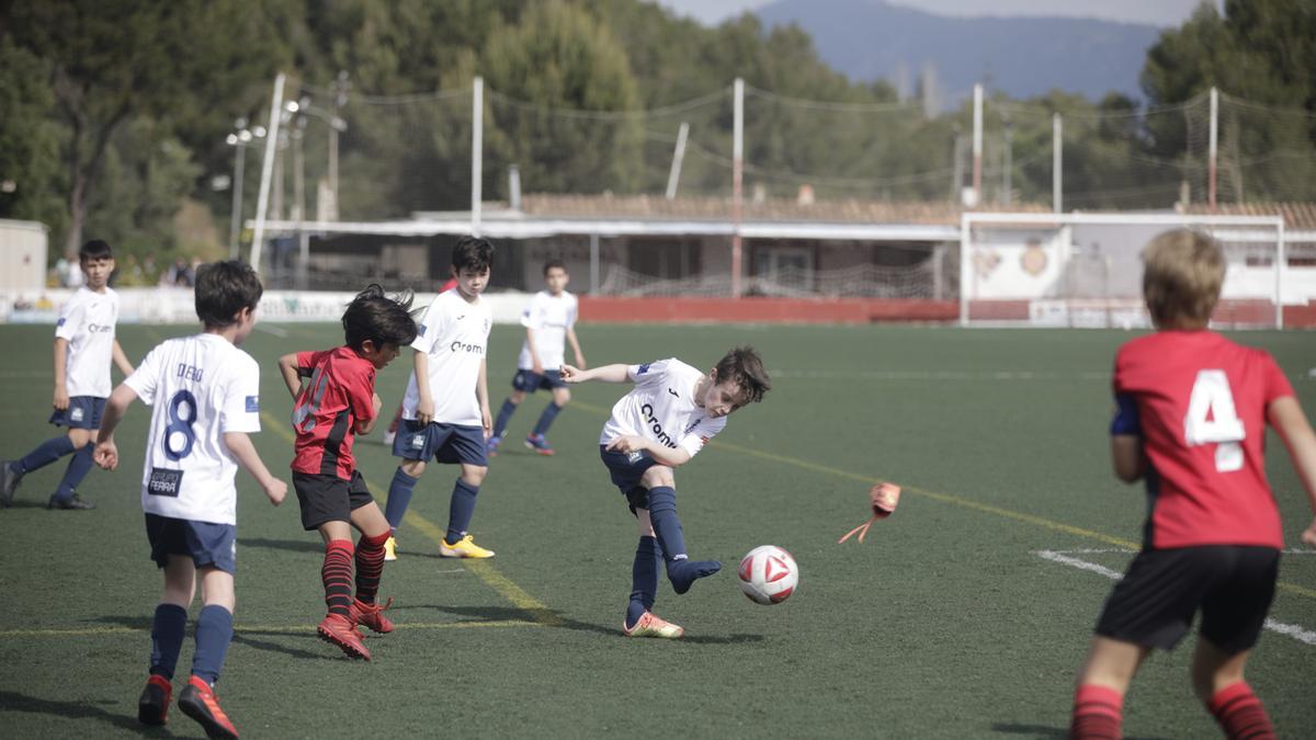 Penya Arrabal-Madre Alberta de benjamines