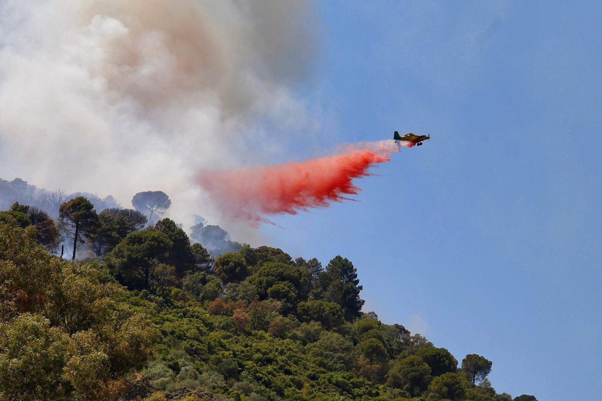 Incendio forestal en la sierra de Córdoba