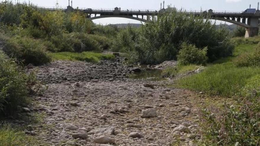 Un drástico corte de agua en el Xúquer compromete la flora y fauna del río