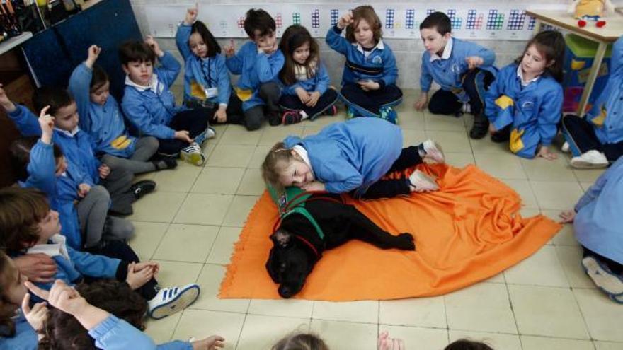 Los perros entran en las aulas