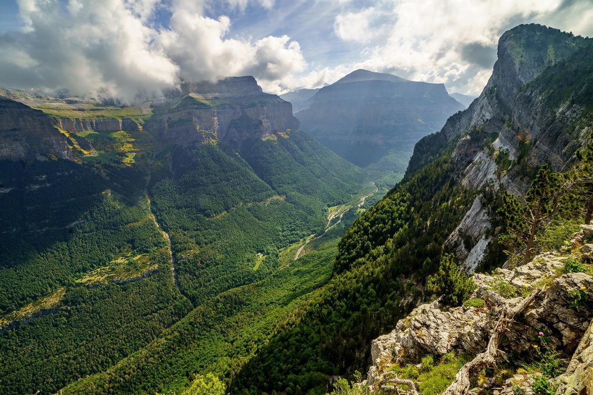 Paisaje verde en los Pirineos del valle de Ordesa y Monte Perdido