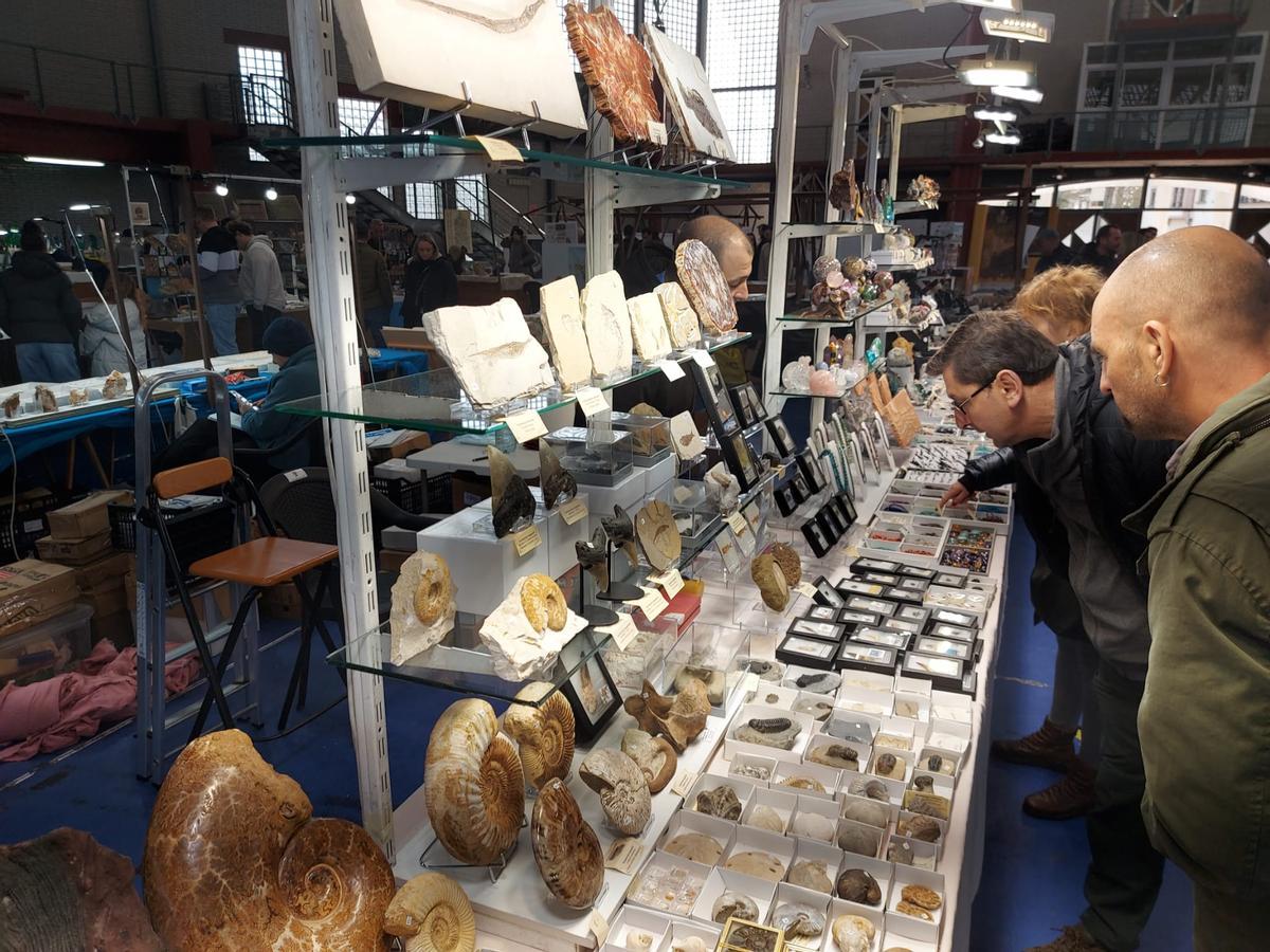 En imágenes: Éxito de la primera feria de fósiles, meteoritos y minerales de Vegadeo