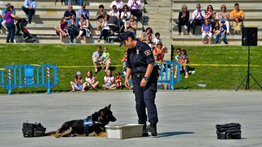 ExhibiciÃ³n de canes de la PolicÃ­a Local.