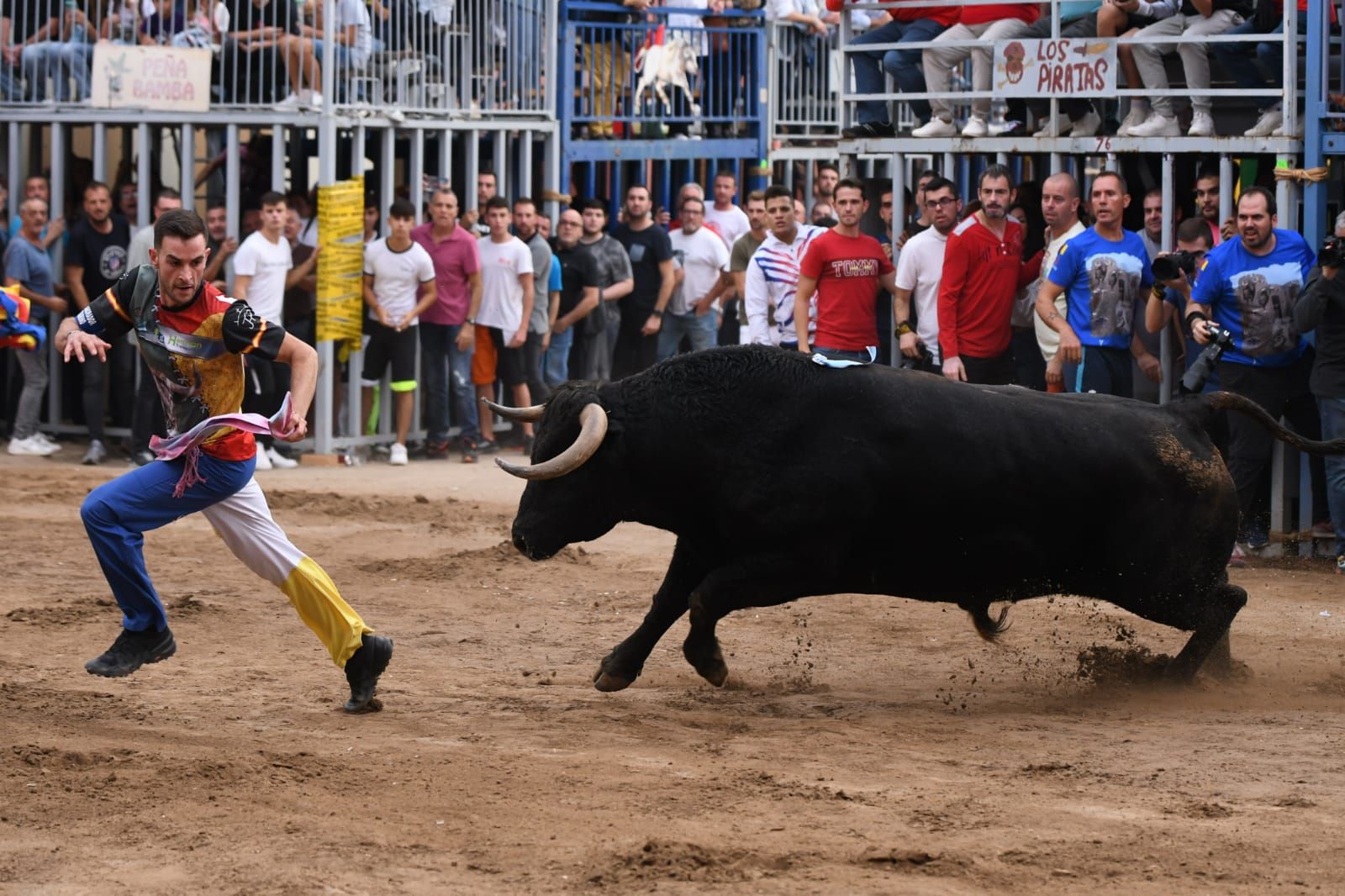 Exhibición de cuatro toros de Partida Resina en Onda