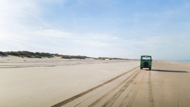 Playa del Parque Nacional de Doñana