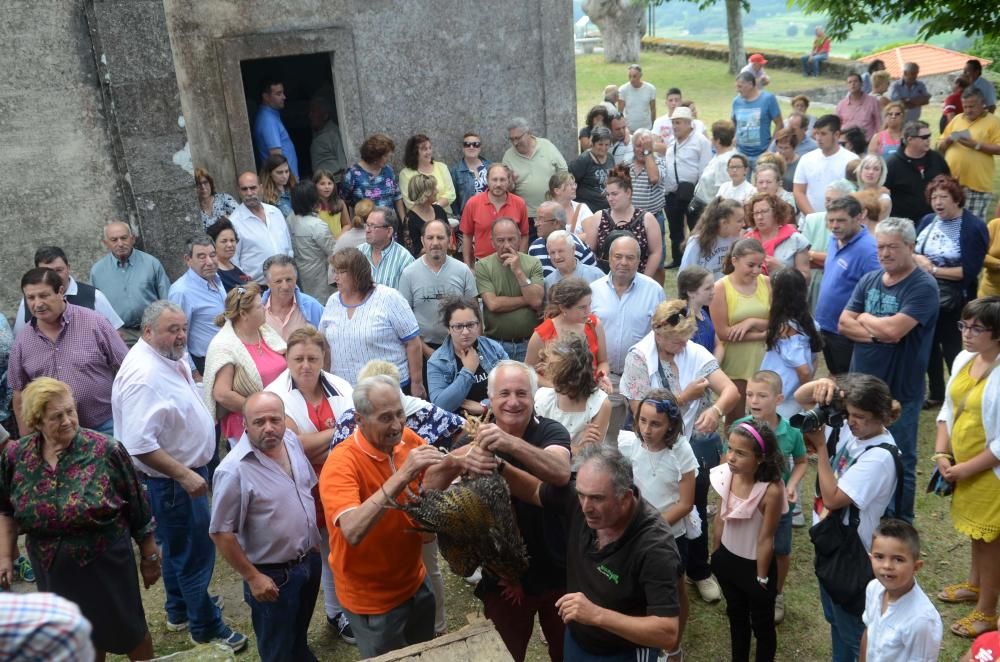 Meaño honra a San Benito // Noe Parga