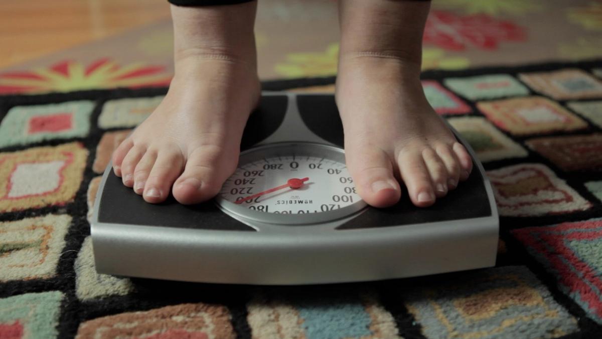 La obesidad inducida por la dieta se ha convertido en una epidemia en todo el mundo, puesto que casi el 40 % de la población adulta tiene sobrepeso u obesidad.