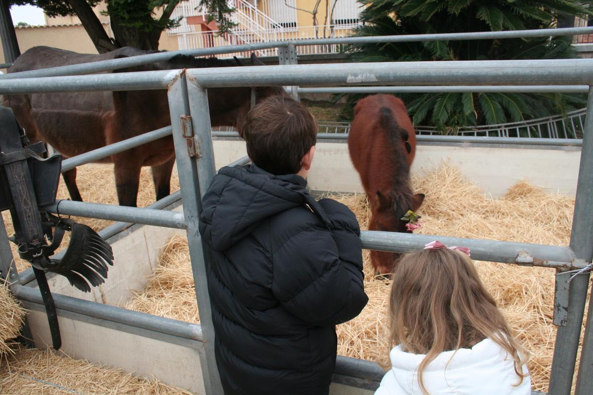 Dos pequeños contemplan a uno de los ponys del Campamento de los Pajes Reales.