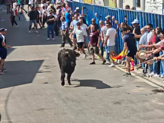 GALERÍA| Toros de cajón por la Virgen de las Nieves en La Bóveda