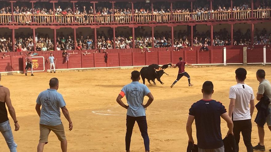La Asociación Del Toro y su Tradición denuncia el impago de uno de los toros de cajón de San Agustín