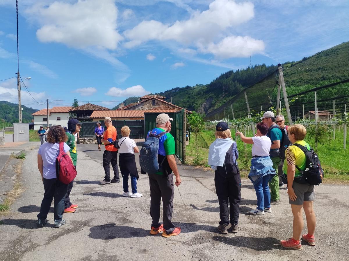 Así fue la visita a Láneo (Salas) de la Federación Nacional de Asociaciones Culturales y Recreativas de Empleados de Cajas de Ahorros