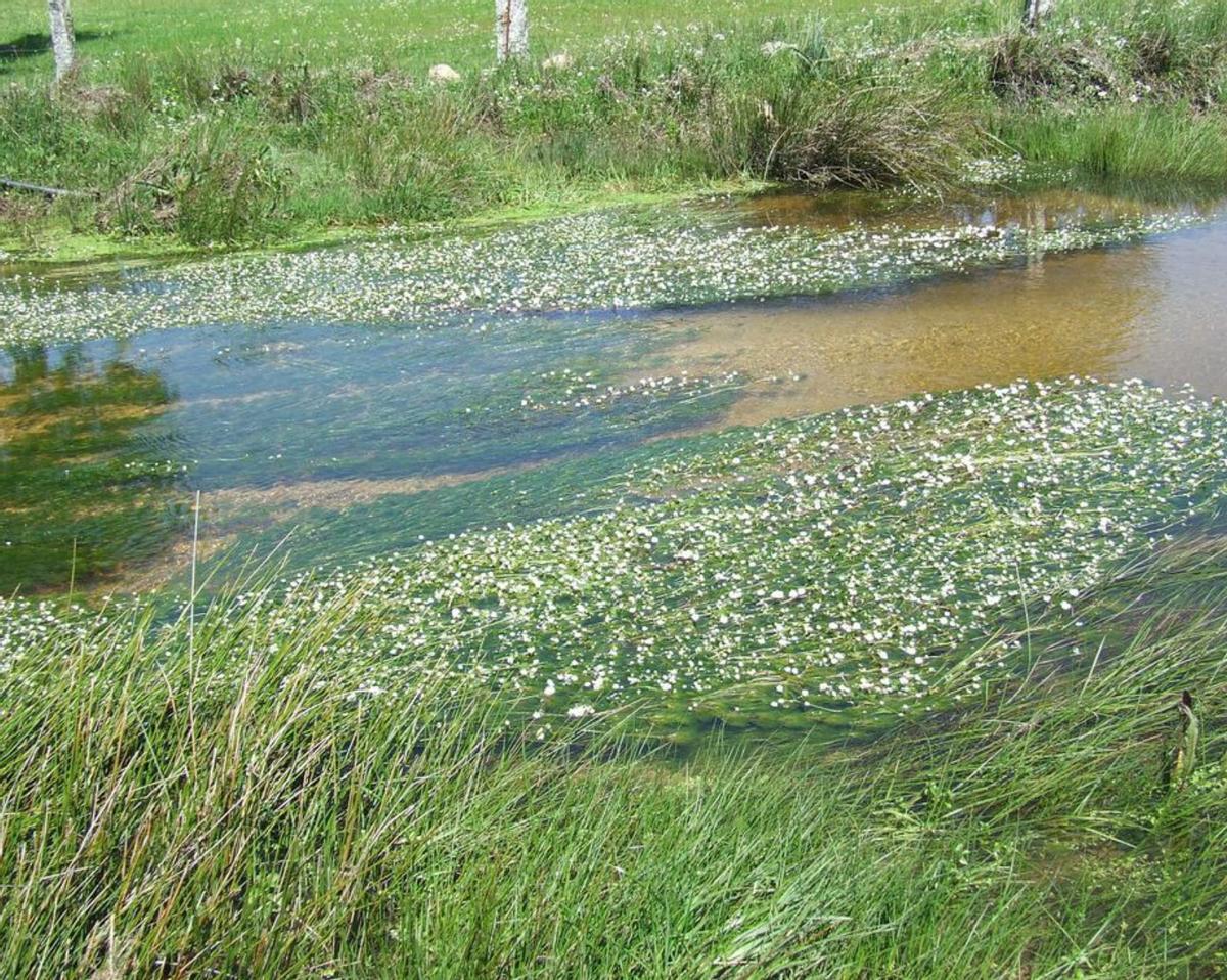 El desapercibido Día de la Tierra y su mayor desafío