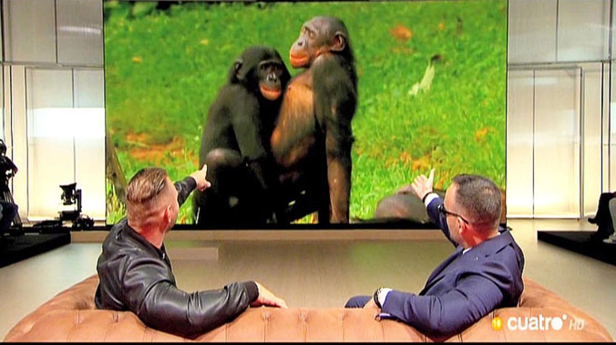 Tu i jo som tres. Per Ferran Monegal. Risto, Nacho i lart dels micos