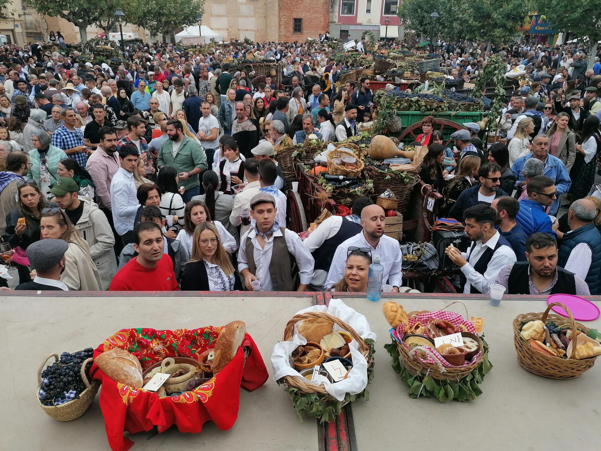 GALERÍA | Toro recrea la vendimia tradicional en el desfile de carros