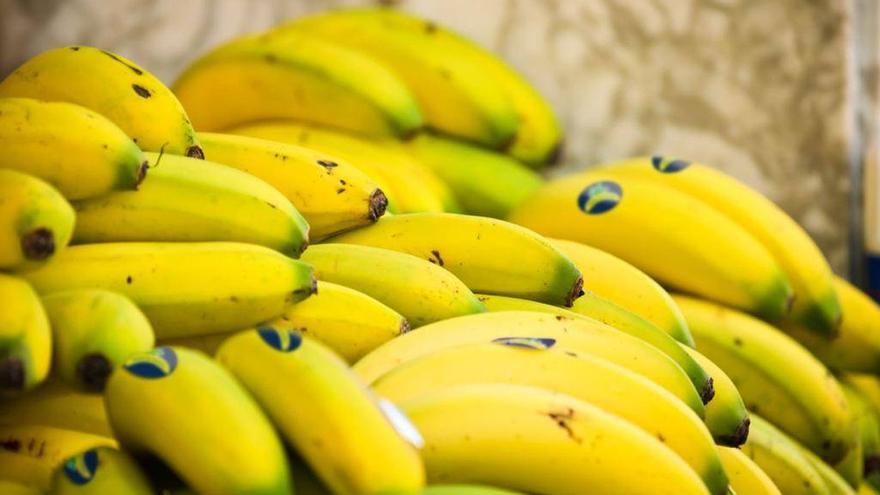 La Plataforma por un Precio Justo del Plátano pide la inclusión en la Ley Alimentaria
