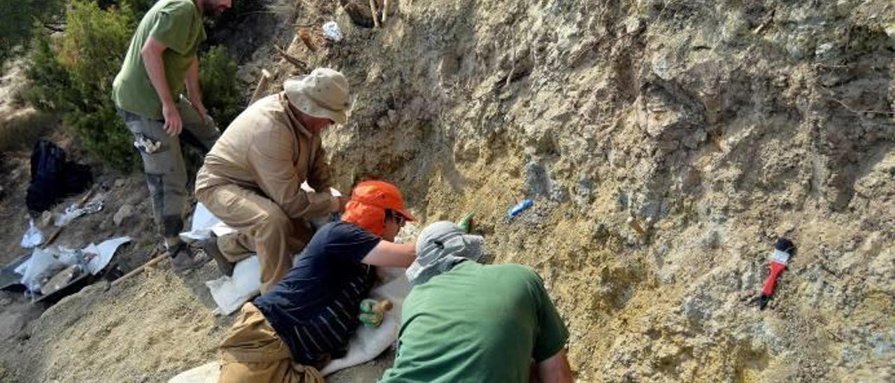 Hallan en Portell los restos de dinosaurio más antiguos de Castelló