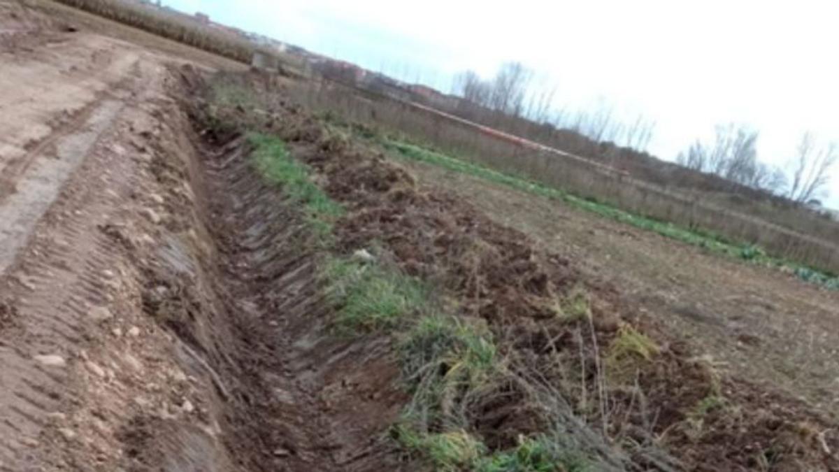 Las obras en un camino agrícola ocasionan “importantes daños” en fincas particulares 