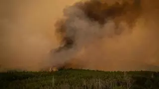 Vecinos de La Orotava, manos a la obra en la lucha contra el incendio de Tenerife