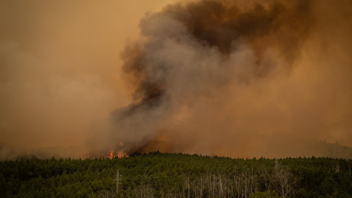 Vecinos de La Orotava luchan contra el incendio de Tenerife