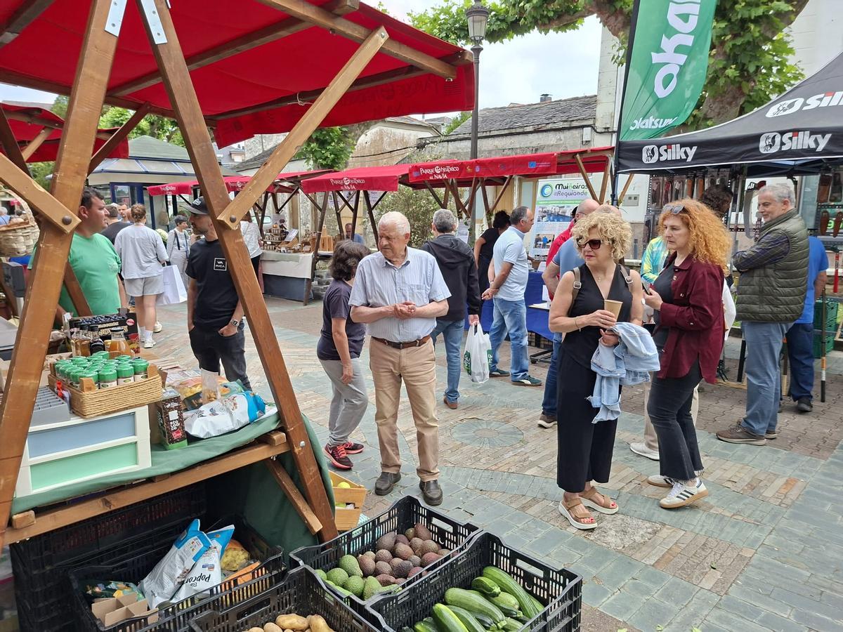 En imágenes: La primera feria de jardinería del Occidente llena La Caridad de color y buen ambiente