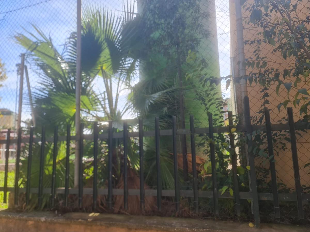 Somos Cáceres solicita al ayuntamiento más inversión para el mantenimiento de las instalaciones deportivas