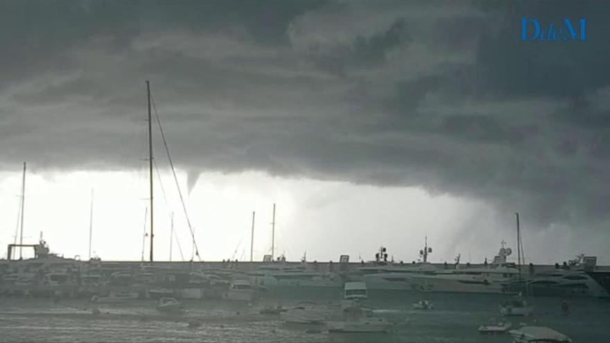 Dos mangas marinas en El Toro y un fuerte aguacero en Portals Nous