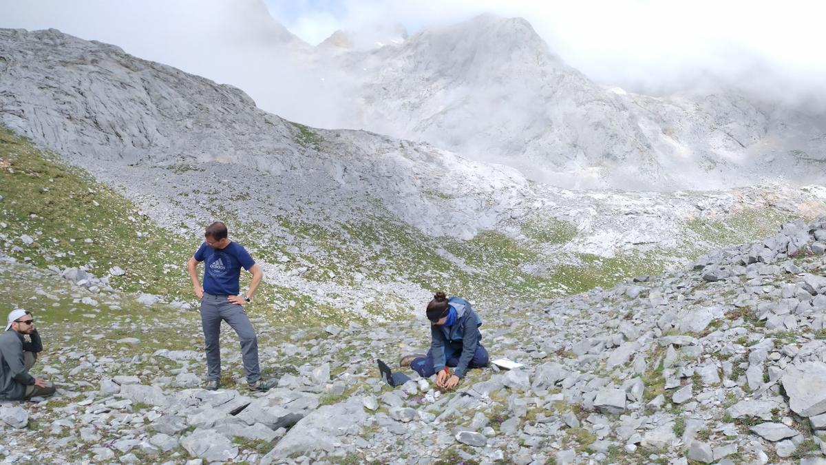 Investigadores de la Universidad de Oviedo en la zona de muestreo en los Picos de Europa