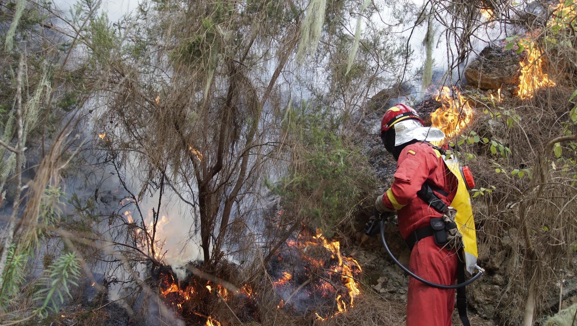 L'incendi forestal de Tenerife, en imatges