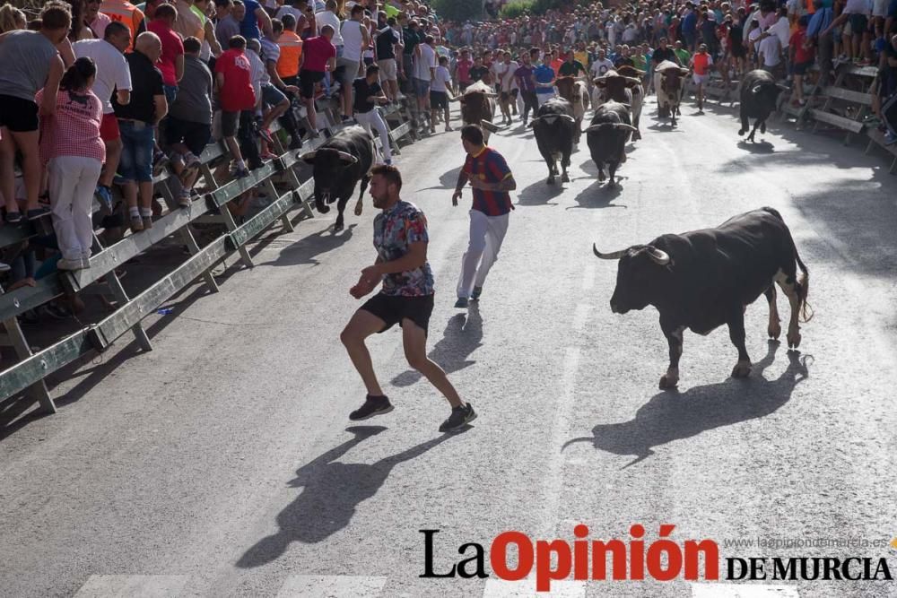 Segundo encierro de Calasparra