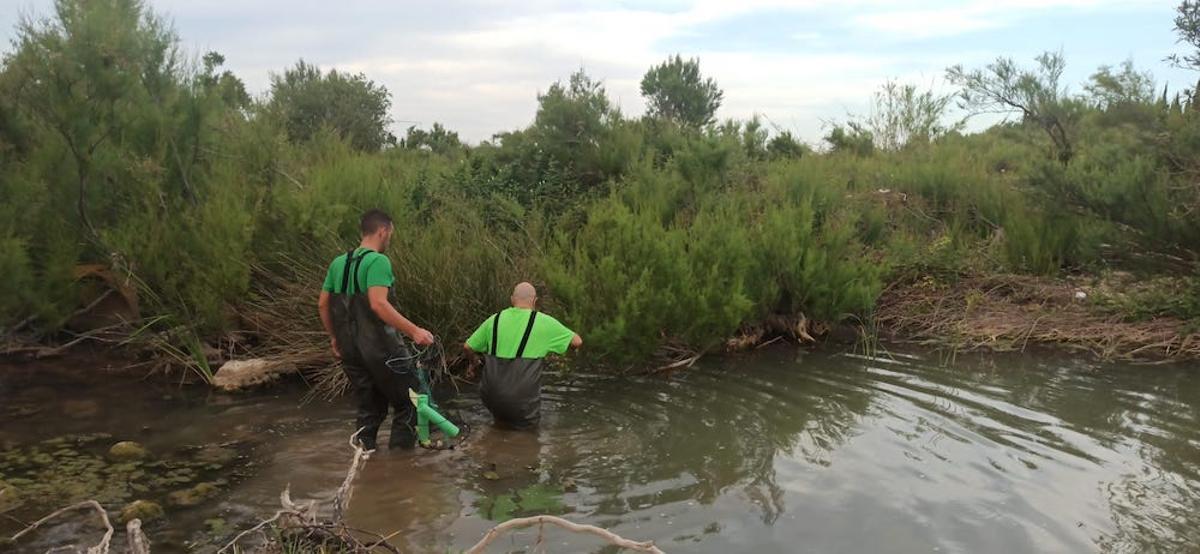 Dos miembros del equipo del voluntariado durante las labores de captura
