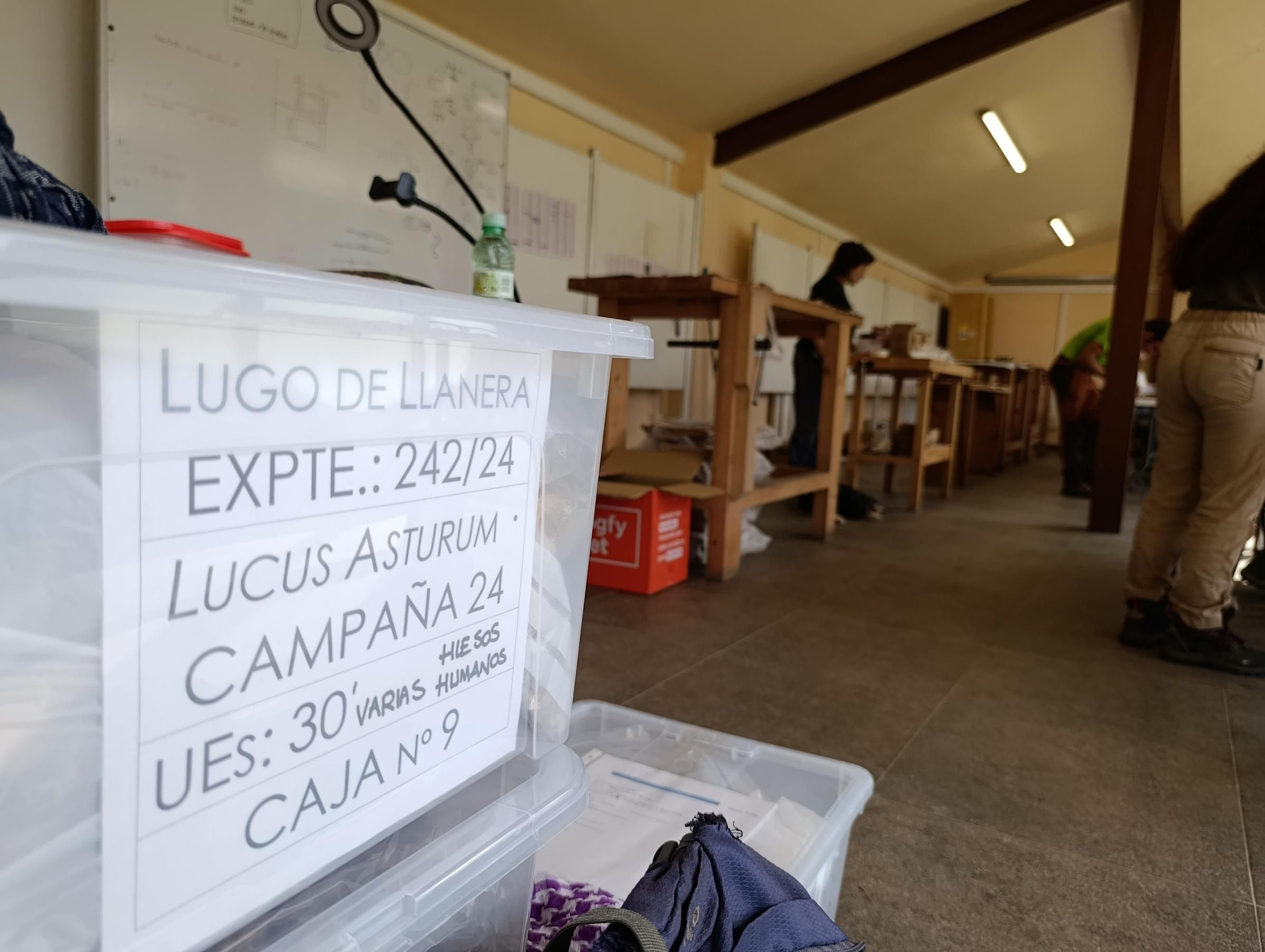 Así se trabaja en el laboratorio de "Lucus Asturum" en Villabona