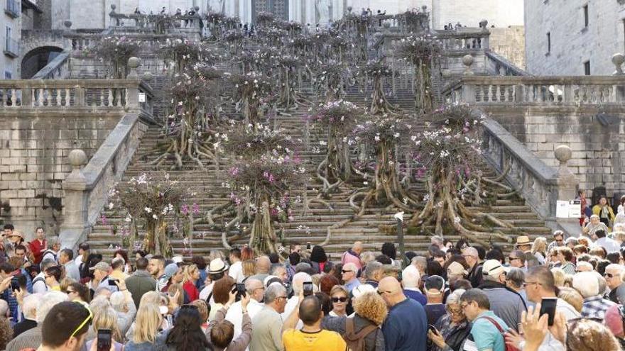 Temps de Flors tanca amb «bones sensacions» per l&#039;ocupació hostalera i els més de 250.000 visitants