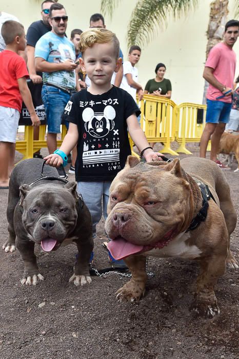 II Feria de mascotas, en Maspalomas