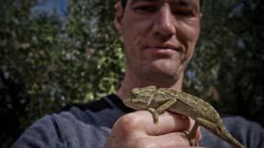El biólogo Emilio Rosilio con un camaleón de los que han colonizado los árboles