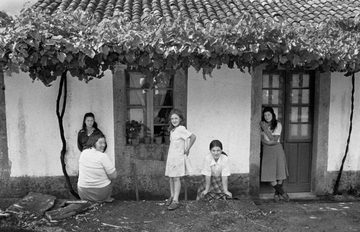 La búsqueda dezana de Ton van Vliet