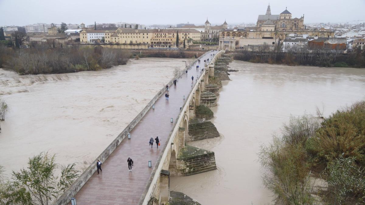 Estado del Guadalquivir a su paso por la capital el pasado domingo.
