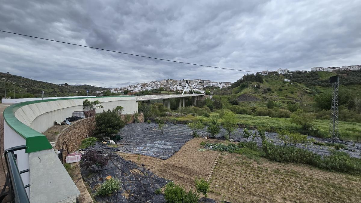 Zona donde fue hallado el cuerpo sin vida del vecino de Montoro este domingo.