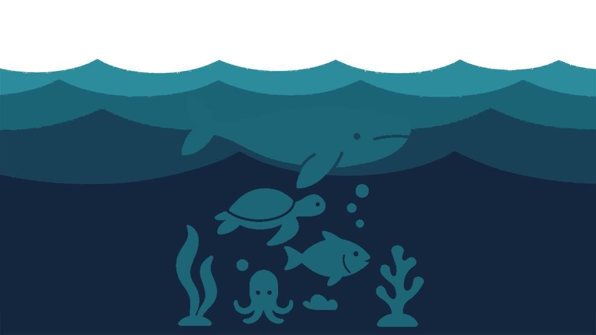 Los océanos: de vertedero a pieza clave para el clima y la economía Los océanos: de vertedero a pieza clave para el clima y la economía