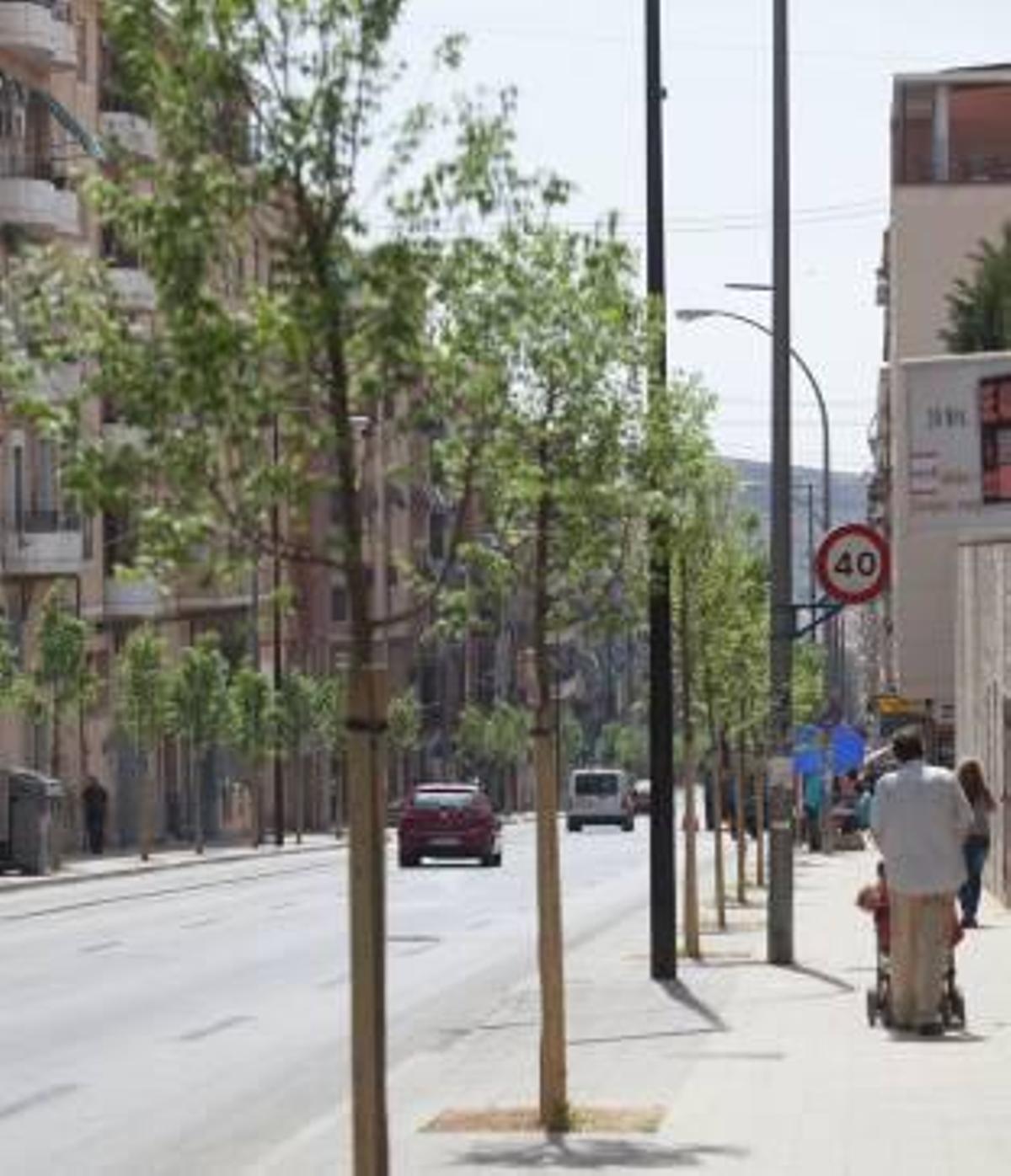 La avenida de Alcoy se pone verde
