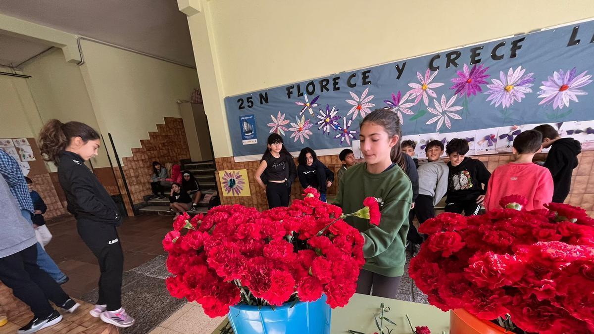 La emotiva razón por la que el clavel es la flor preferida de los escolares de Oviedo por San Valentín