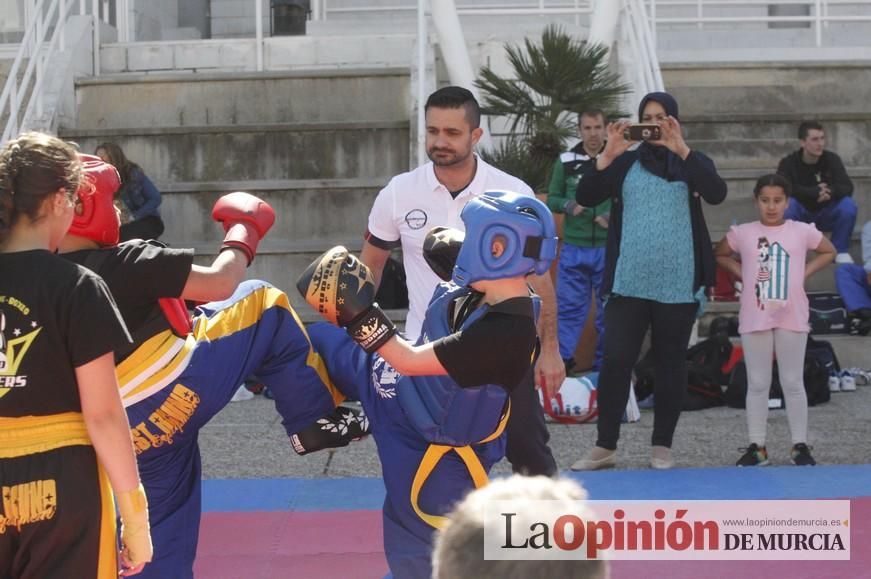 Fiesta del Deporte de Murcia (domingo)