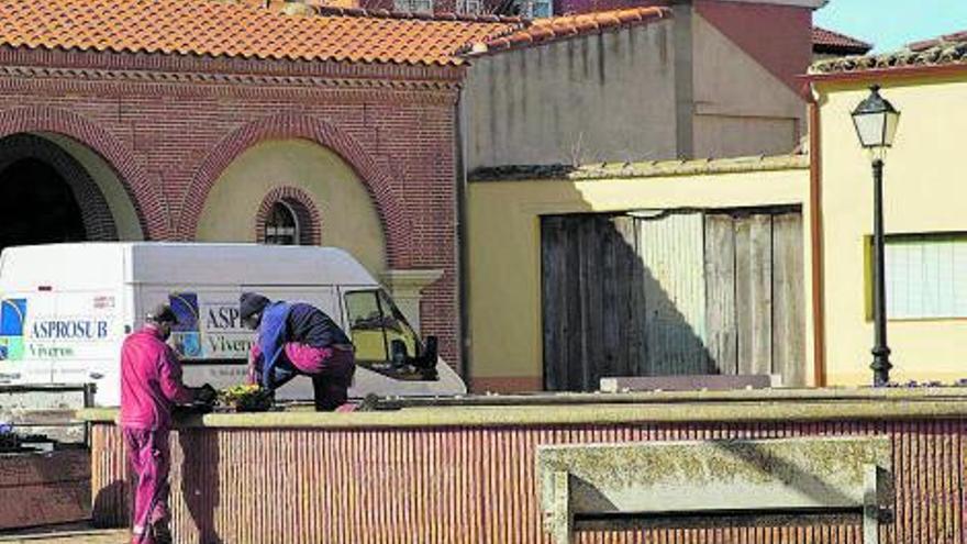 Trabajadores de Asprosub mantienen las jardineras frente a la iglesia de San Nicolás. | J. L. F.