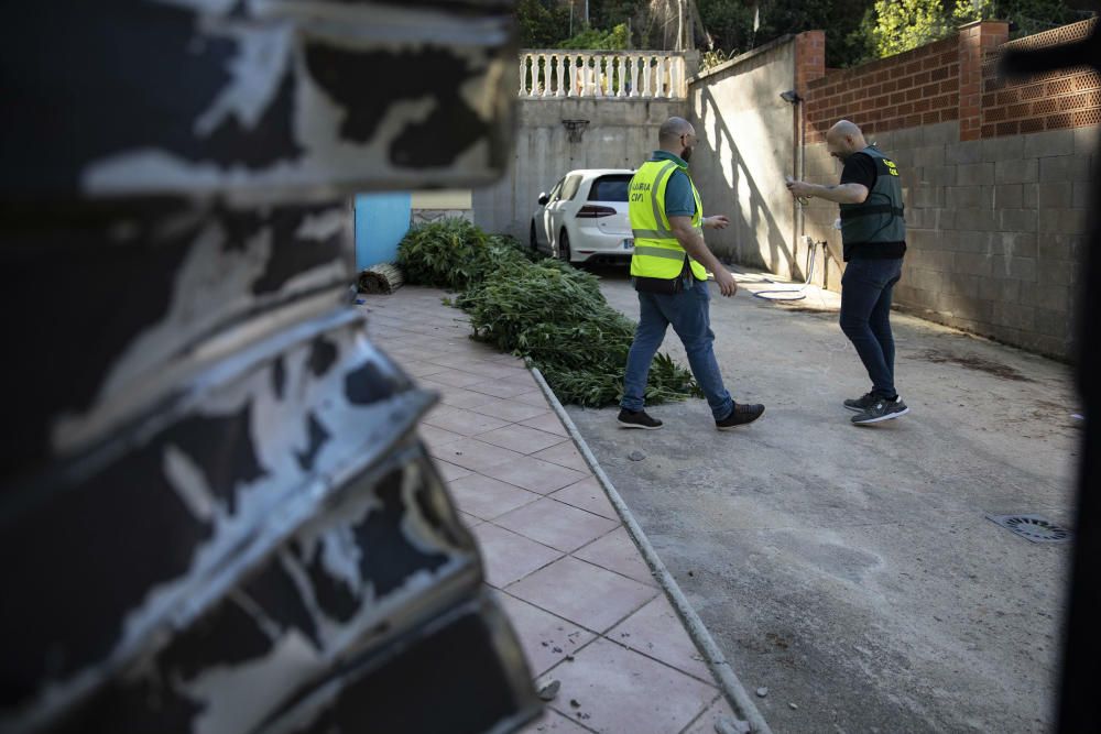 Operació antidroga de la Guàrdia Civil amb epicentre a Vidreres