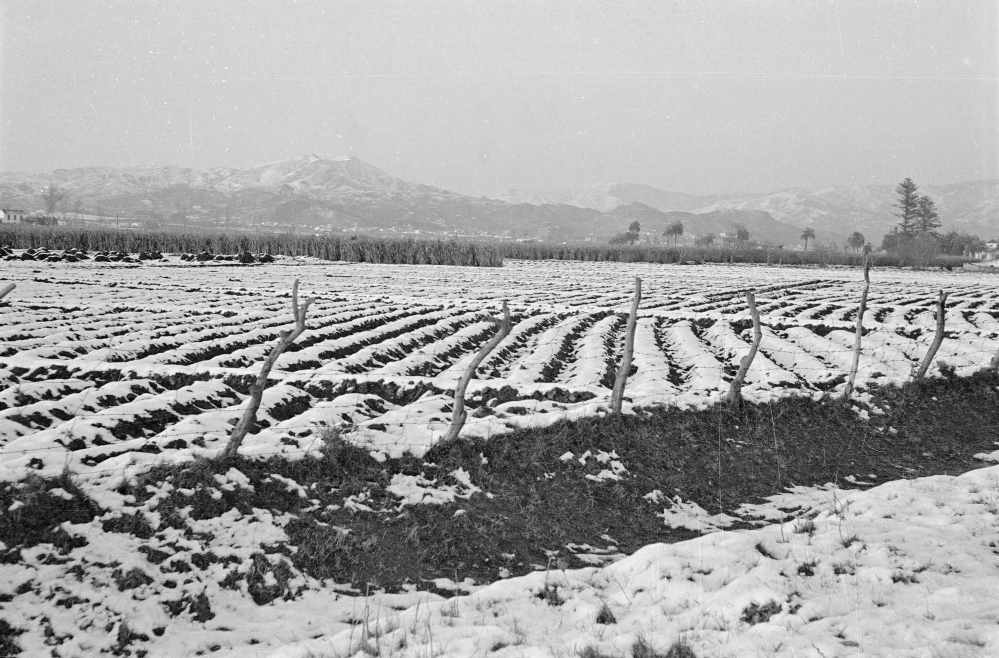 Nevada de Málaga en febrero de 1954