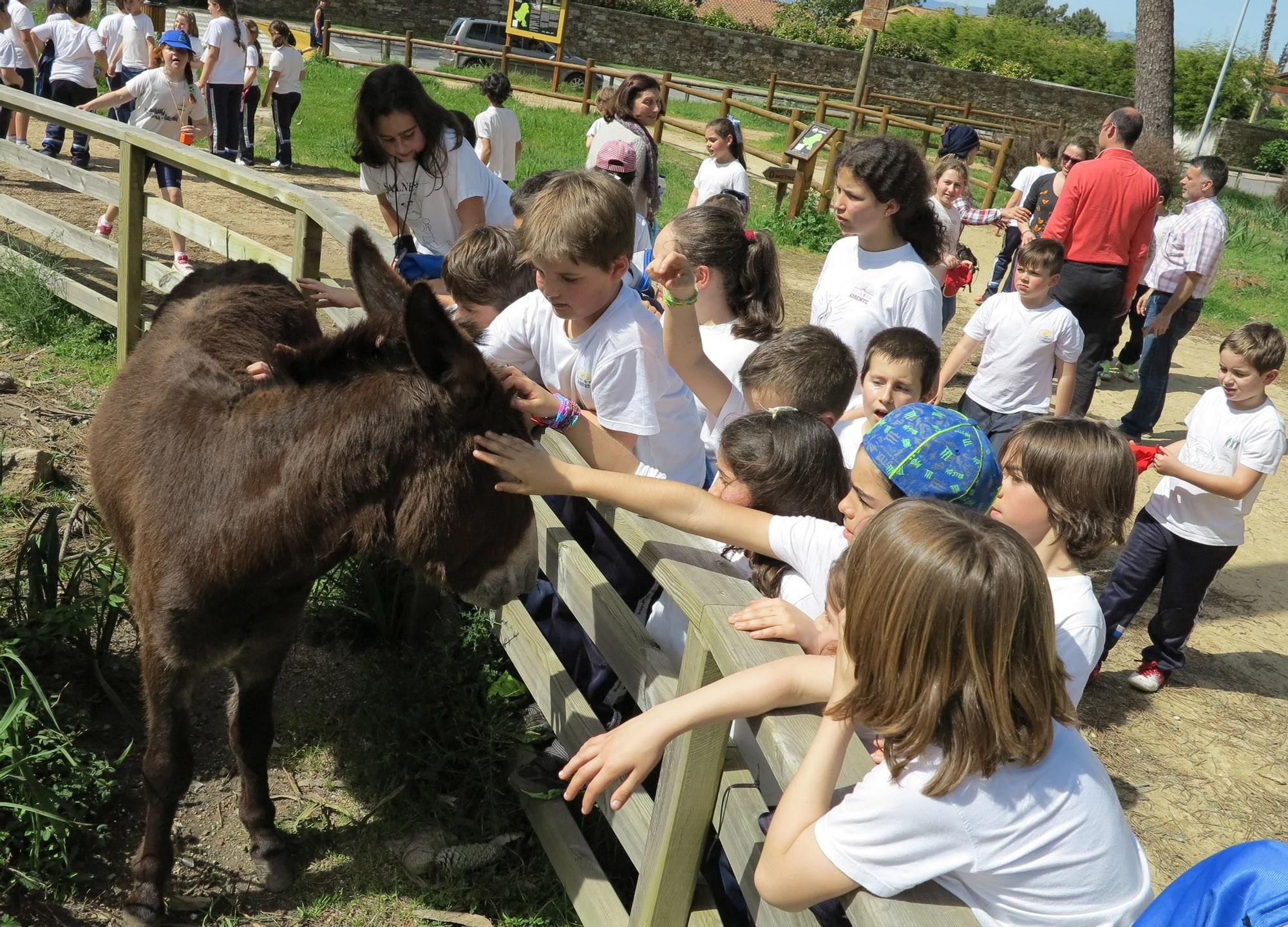 Escolares en la parcela de los burros (archivo).