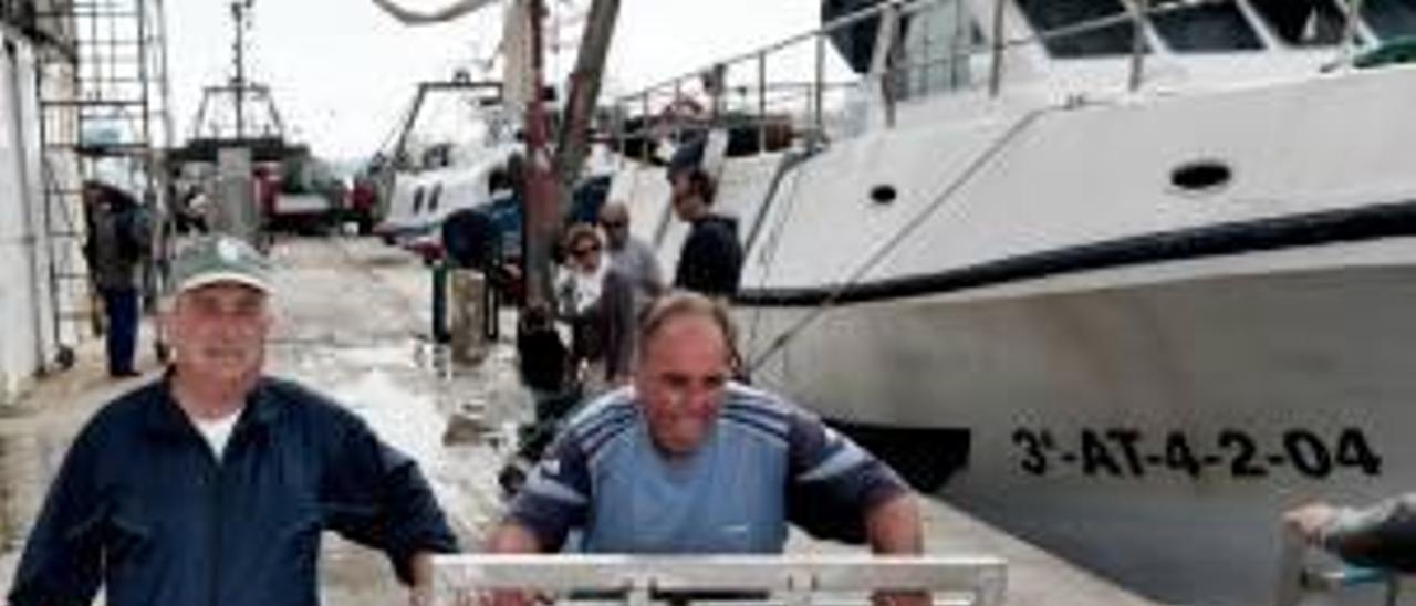 Pescadores de la Cofradía de La Vila llevan sus capturas a puerto para su comercialización.